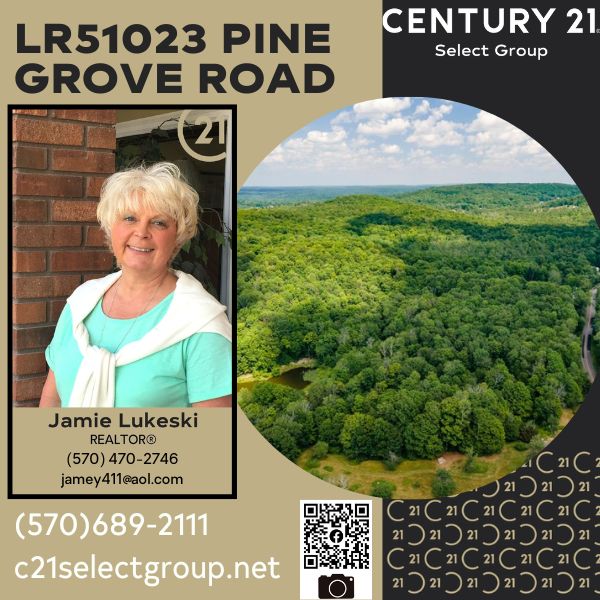 LR51023 Pine Grove Road Historical 4.2 Forested Acres